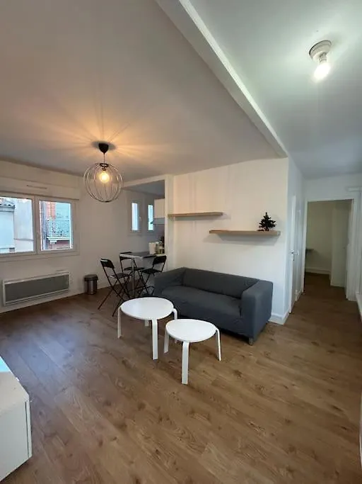 Apartamento L'Agathoise Proche Gare Climatisation Ascenseur Toulouse